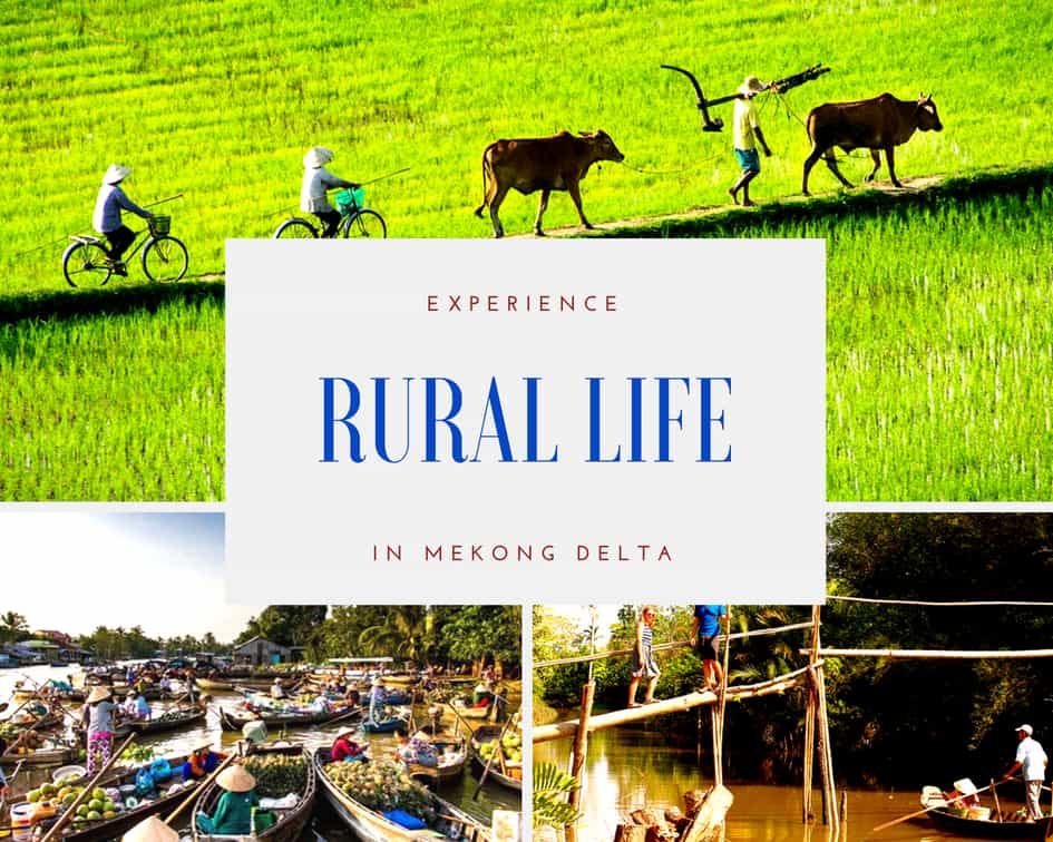 rual life in mekong delta