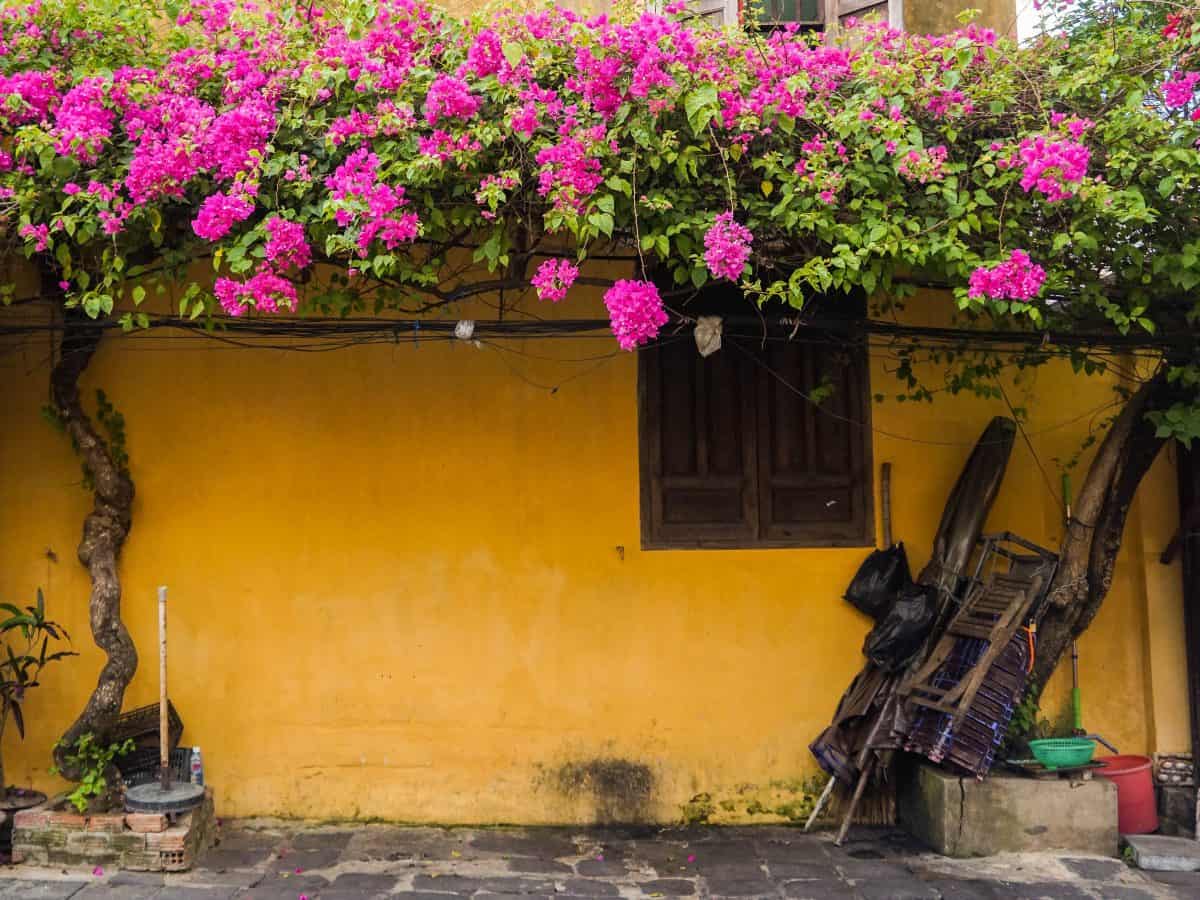 great photos in Hoi An