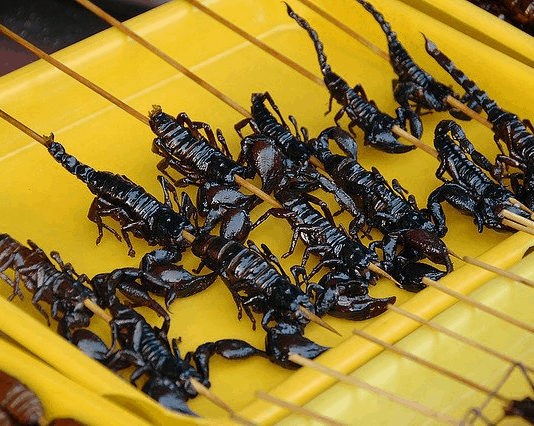 Strange Vietnam Street Food: Saigon’s Most Exotic Dishes